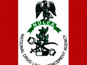 NDLEA_logo