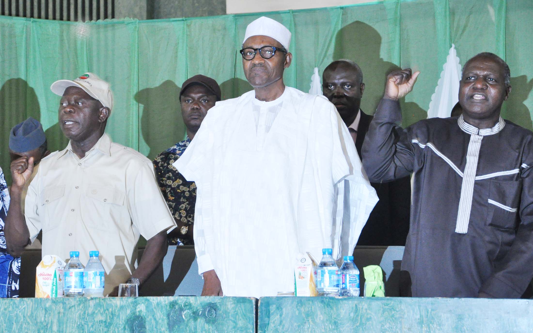 Buhari’s certificate: SANs storm court