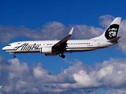 Scorpion stings Alaska Airlines passenger, delaying flight