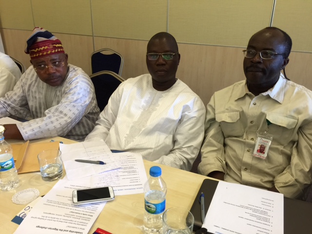 Sweden, Denmark, Norway, Finland, Iceland okay teaching of Yoruba language in schools