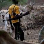 Herdsmen and the security challenge, by Dakuku Peterside