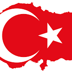 Turkey top court rejects freedom plea from two prominent journalists