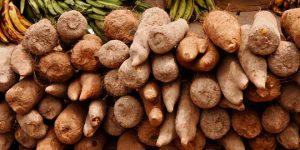 Enugu residents turn to potatoes as yam prices skyrocket