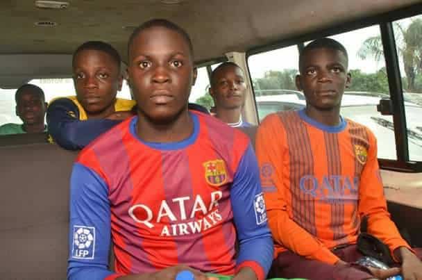 From the lion’s den