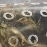 JAMB’s missing N35m: Court remands woman charged with blaming snake