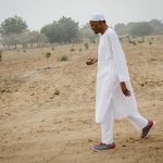 buhari farm daura