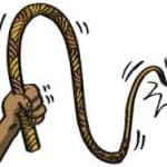 whip