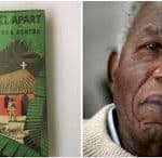 Chinua Achebe