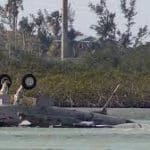 Two pilots killed as Chinese Navy jet crashes during training