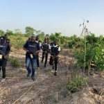 Police invade terrorists’ camp in Kaduna, kill 250 suspected bandits