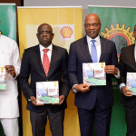 Shell targets equivalent of 2,400MW electricity from new gas supply project