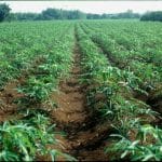 Enugu lawmaker decries alleged invasion of constituency by Ebonyi land grabbers