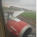 Passengers panic as man climbs Azman Air aircraft at Lagos Airport