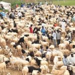 Sallah: Senate adjourns plenary until May 18