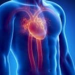 'Regular blood donation reduces risk of heart attack'