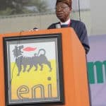 Lai Muhammed, others bag honorary fellowship as Tourism Institute graduates 3,000