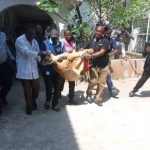 Lagos Task Force, UI team tranquilise, evacuate lion brought in by Indian from Cameroon to Omu Resorts, Lekki