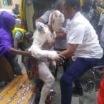 Gas explosion: Two killed, 23 injured in Lagos