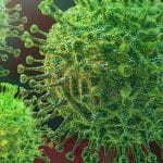 NCDC reports 23 fresh deaths, 1,479 new infections of COVID-19