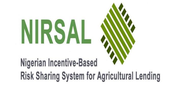 NIRSAL defends integrity, says tale of N150bn missing funds 'ridiculous invention'