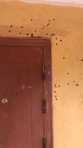 Attempted assassination of Obaseki's key loyalist: Suspected APC thugs on the run
