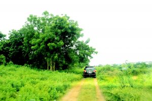 How supply of N10,000 worth of bread led detectives to kidnappers’ hide-out in Oyo