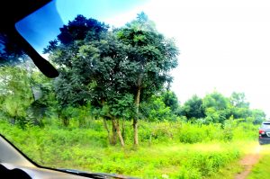 How supply of N10,000 worth of bread led detectives to kidnappers’ hide-out in Oyo