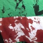 My heart goes out to victims of Lekki shootings, says Osinbajo