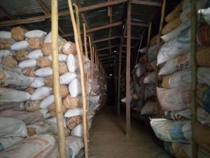 Marwa vows to 'smoke out' barons, as NDLEA operatives seize drug worth N1.4bn