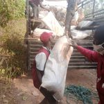 Marwa vows to 'smoke out' barons, as NDLEA operatives seize drug worth N1.4bn