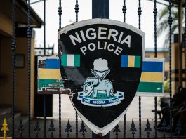 Man arrested for allegedly killing brother’s wife in Jigawa
