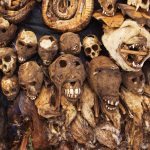 Insecurity: Ekiti monarch advocates use of 'African Juju', says 'it is appalling for an Oba to be killed, kidnapped like a chicken'