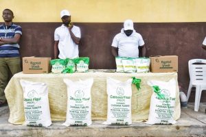 Makinde inaugurates DIG Leye Oyebade's Rontol Farms in Oyo, targets end to farmers post-harvest losses
