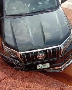 SEDI boss, Prof. Simon Ndubuisi, Orderly shot dead in Enugu
