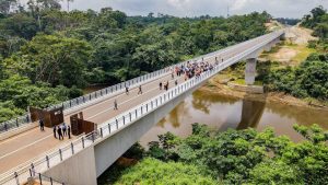 Fashola: Nigeria, Cameroon border bridge will facilitate free trade 