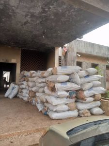 In strings of operations, NDLEA arrests  wanted drug dealer in church, seizes 2,504.8kg of narcotics in Edo, Ondo, Kaduna, Kano, Kogi