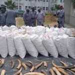 Customs intercepts goods worth N22.3bn in Lagos