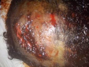 Rustlers attack herdsman in Kwara, steal 15 cows