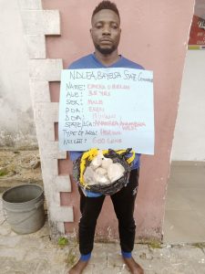 NDLEA intercepts fresh Cocaine, Heroin consignments worth N4.9bn at Lagos seaport, airport