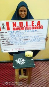 Pregnant woman arrested with 1,441kg imported skunk in Lagos raid