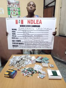 Pregnant woman arrested with 1,441kg imported skunk in Lagos raid