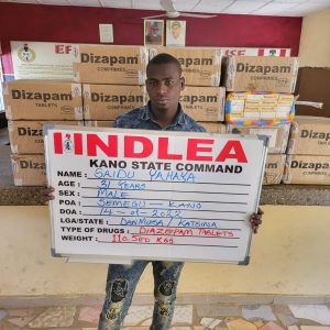 NDLEA intercepts 1.5 million Tramadol tablets, seizes arms, cash 