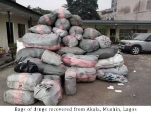 Drugs: NDLEA arrests dismissed DPO, others