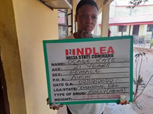 Drugs: NDLEA arrests dismissed DPO, others