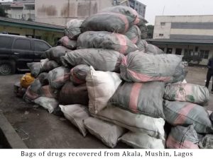 Drugs: NDLEA arrests dismissed DPO, others