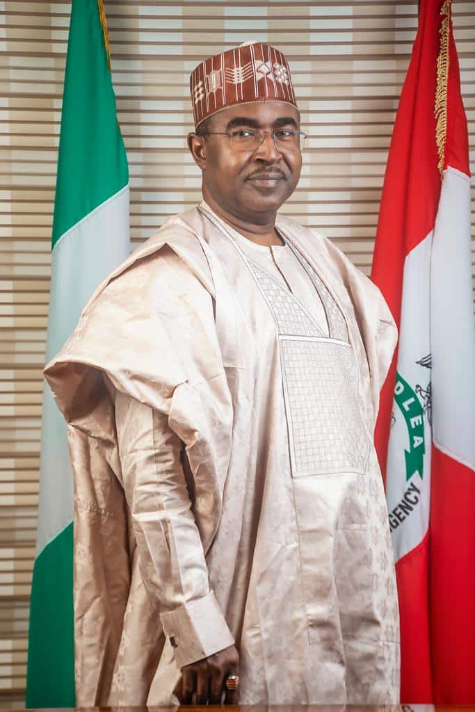 Marwa: A Legend at 69, by  Femi Babafemi