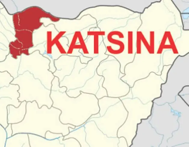 11, 000 youth benefit from N-Power program in Katsina State – Official