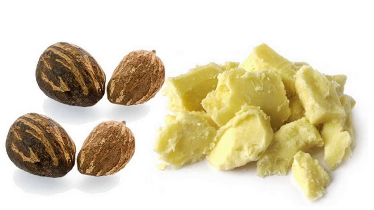 Association charges Kebbi govt. to renovate Shea butter processing Center