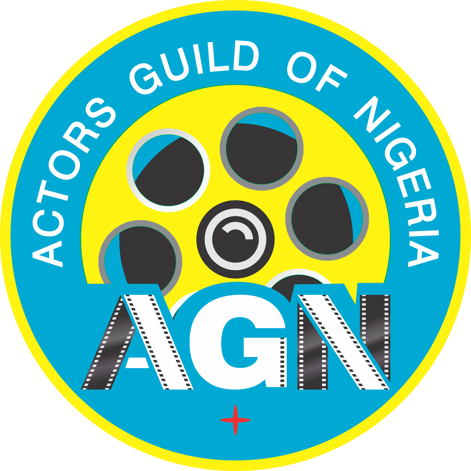 Nollywood: Actors Guild gets new exco