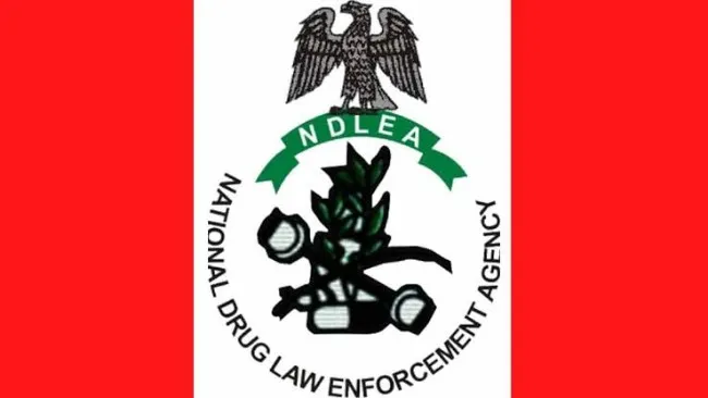 NDLEA arrests 130 suspects with hard drugs weighing 1,728.536kg in Kaduna